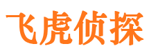 武陵源外遇调查取证